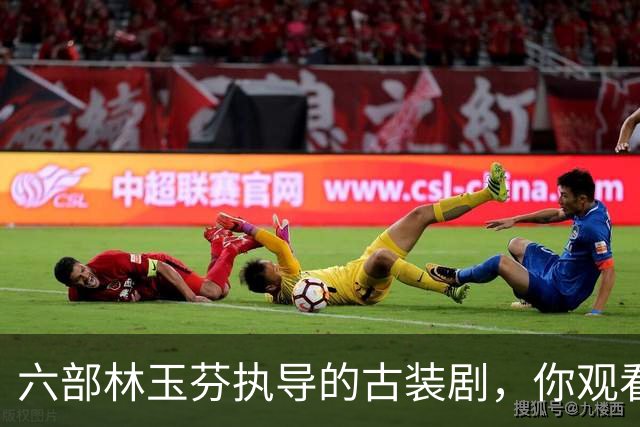 六部林玉芬执导的古装剧，你观看过哪些？